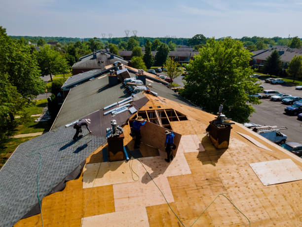 Best Storm Damage Roof Repair  in Mercer, PA