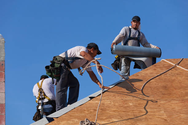 Professional Roofing Contractor in Mercer, PA